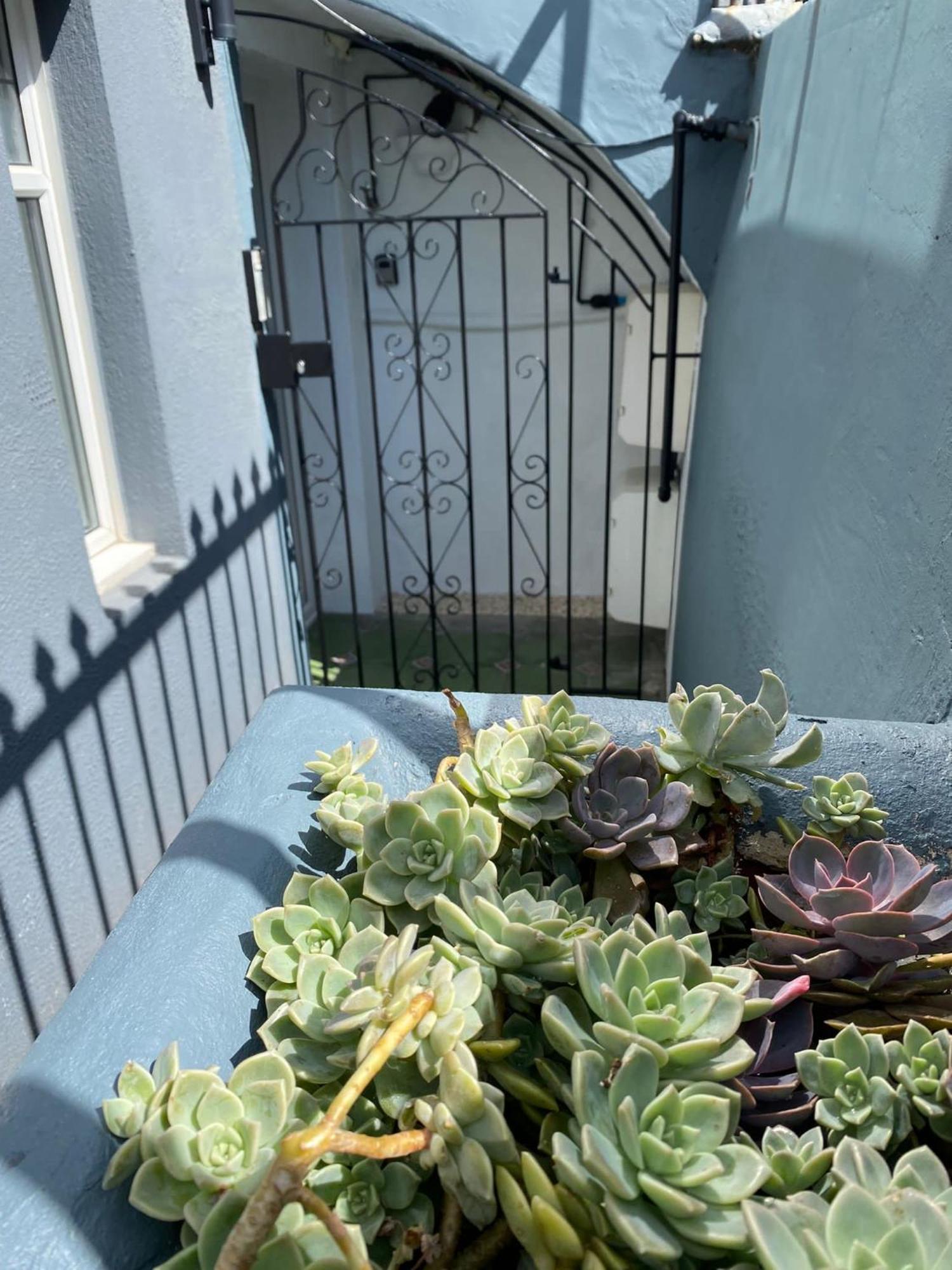 Kemptown Courtyard Apartment Hove Esterno foto